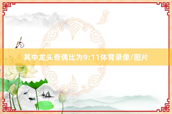 其中龙头奇偶比为9:11体育录像/图片