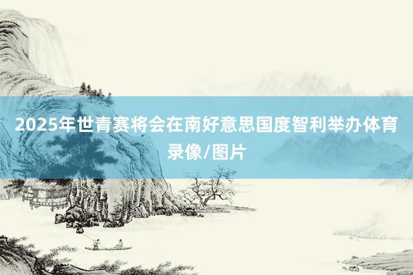 2025年世青赛将会在南好意思国度智利举办体育录像/图片