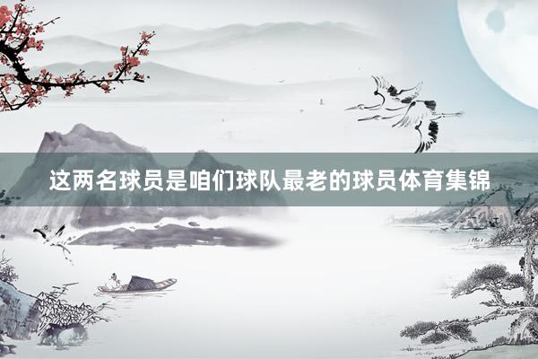 这两名球员是咱们球队最老的球员体育集锦